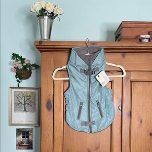 Stylish Dog Coat in Blue